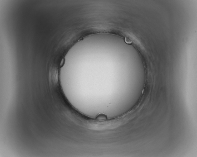 X0000112490021200908171000