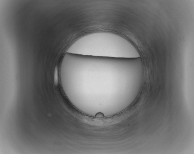 X0000112490022200908171000