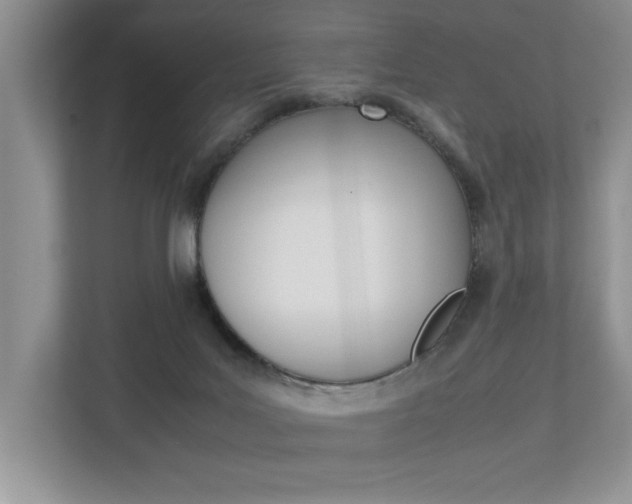 X0000112490027200908171000