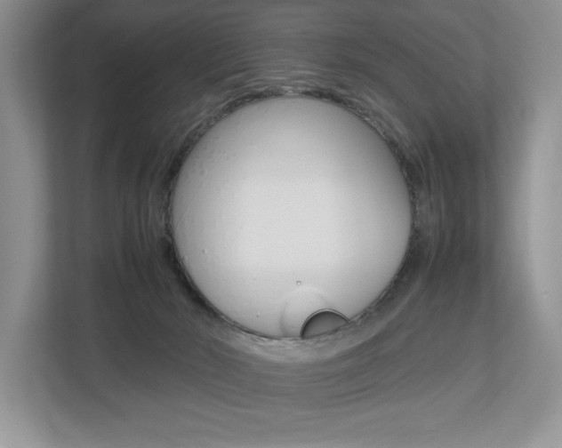 X0000112490030200908171000