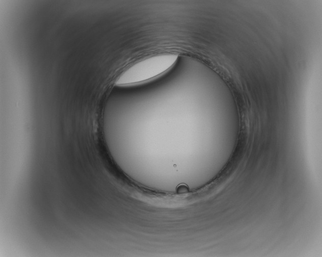 X0000112490032200908171000