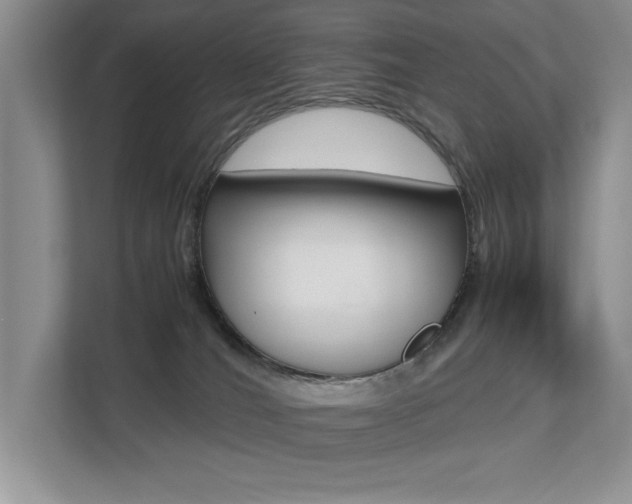 X0000112490036200908171000
