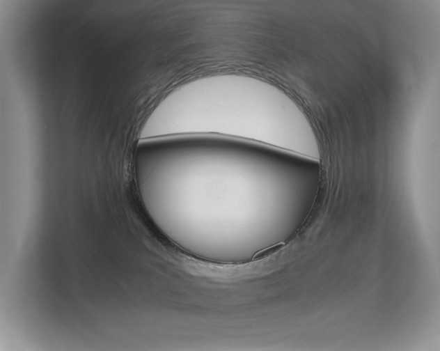 X0000112490039200908171000