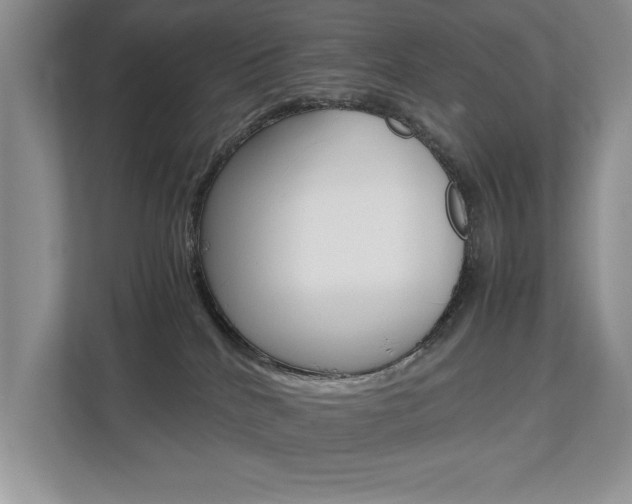 X0000112490040200908171000