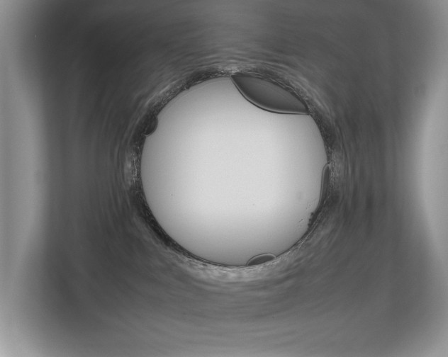 X0000112490043200908171000