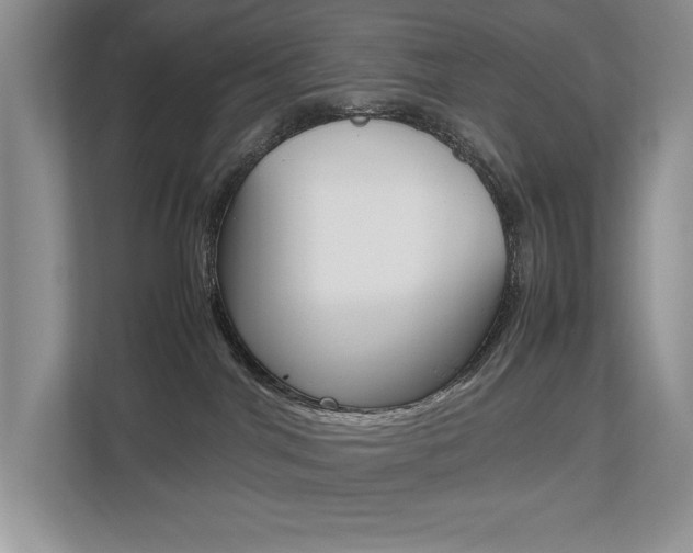 X0000112490044200908171000