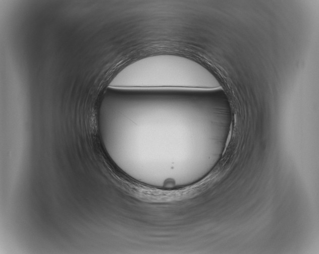 X0000112490048200908171000