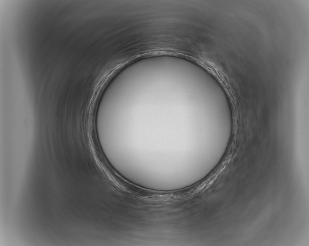 X0000112490049200908170959