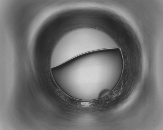 X0000112490050200908170959