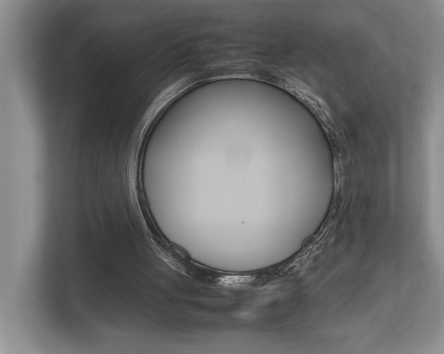 X0000112490051200908170959