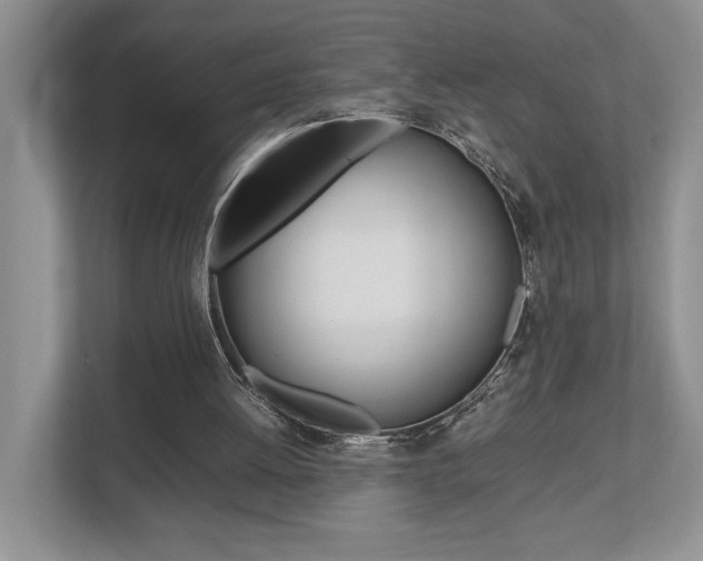 X0000112490052200908170959