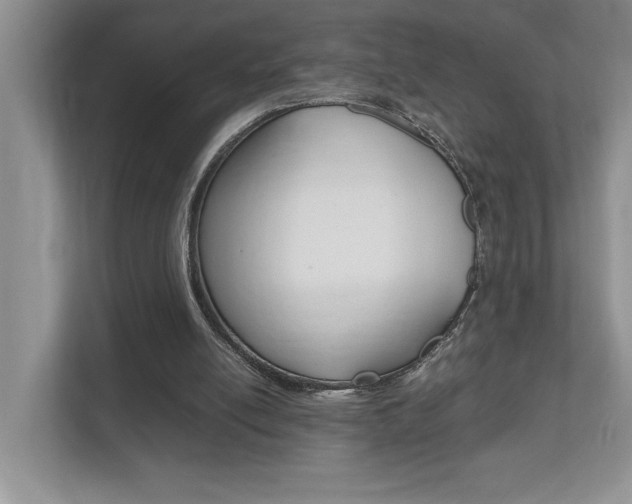 X0000112490054200908170959