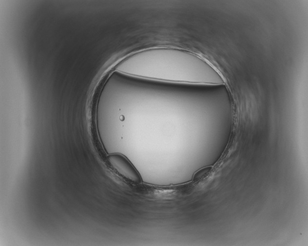 X0000112490055200908170959