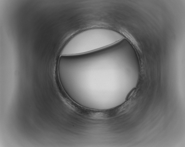 X0000112490058200908170959