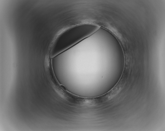 X0000112490060200908170959