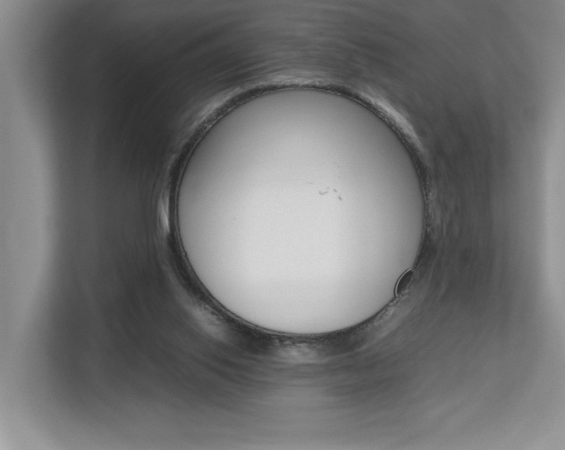 X0000112490062200908170959