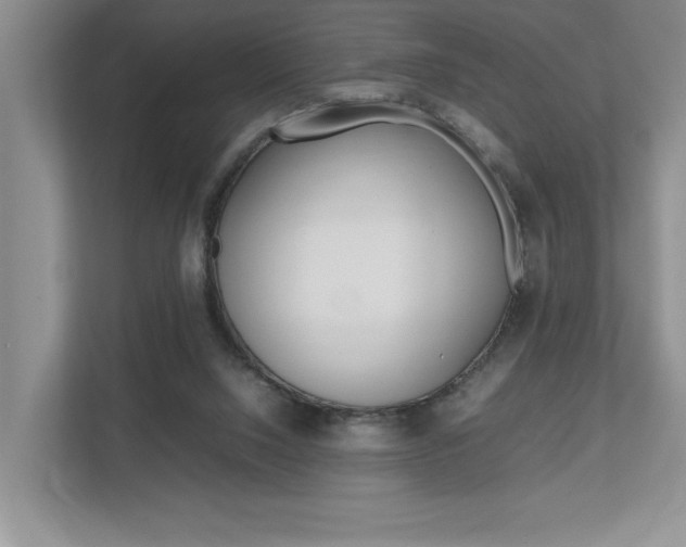 X0000112490064200908170959