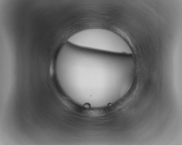 X0000112490069200908170959