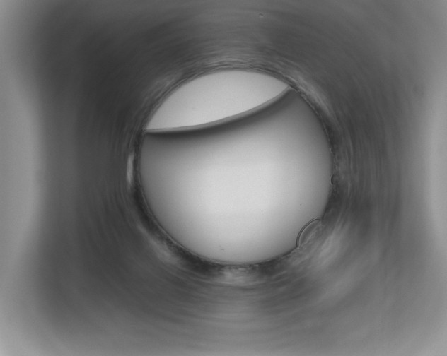 X0000112490070200908170959