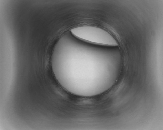 X0000112490073200908170959