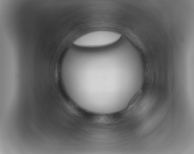 X0000112490074200908170959