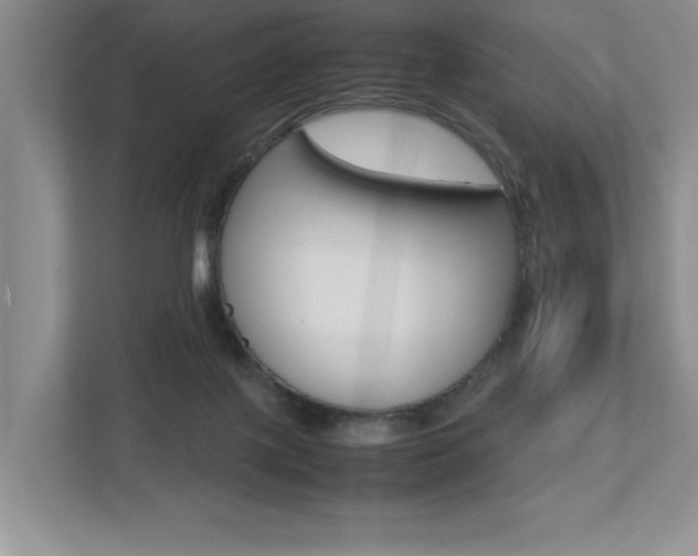X0000112490075200908170959