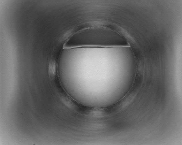 X0000112490076200908170959