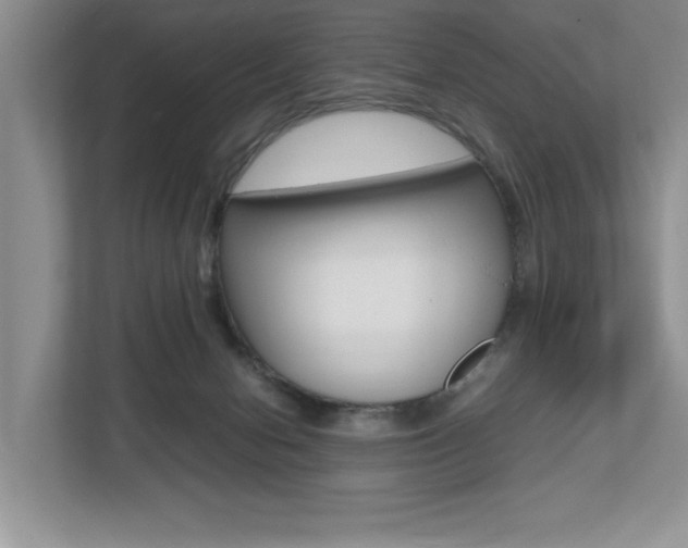 X0000112490078200908171000