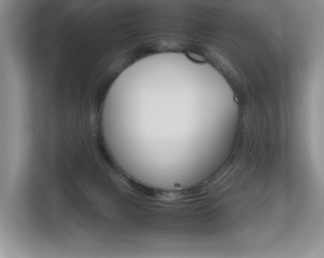 X0000112490079200908171000
