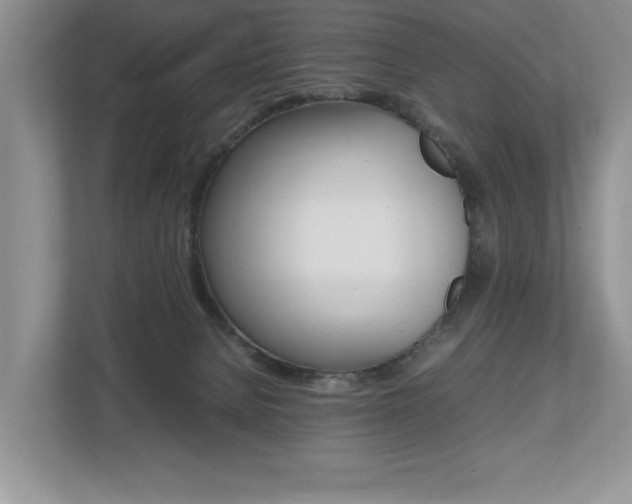 X0000112490080200908171000