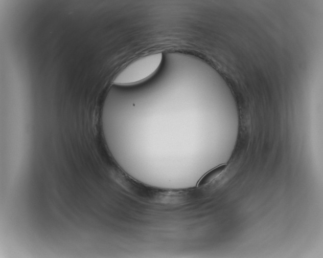 X0000112490082200908171000