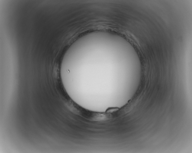 X0000112490083200908171000
