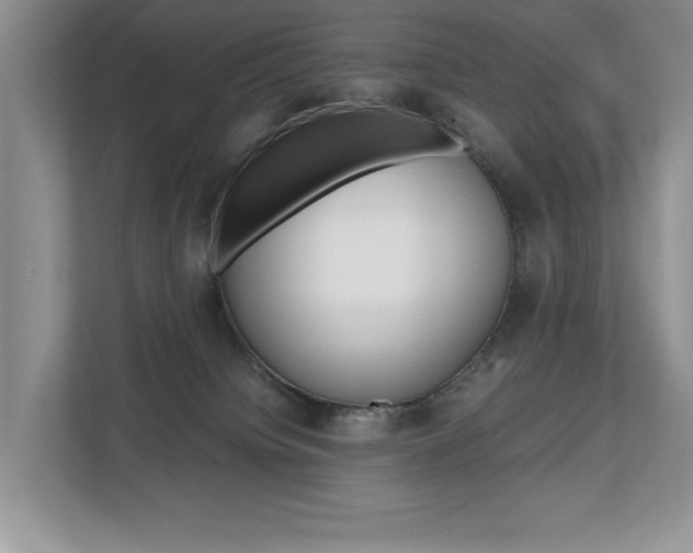 X0000112490084200908171000