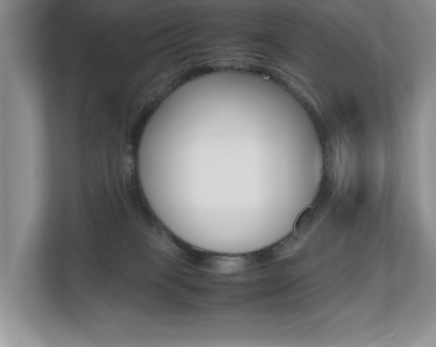 X0000112490085200908171000