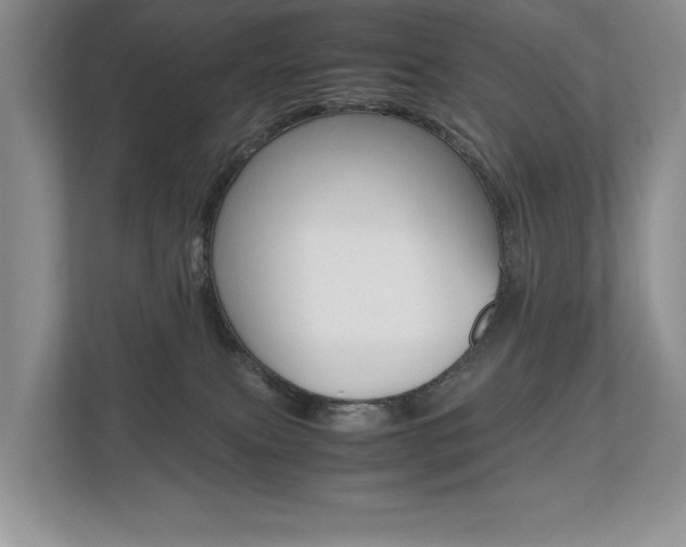 X0000112490087200908171000