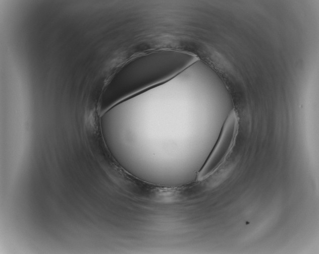 X0000112490088200908171000