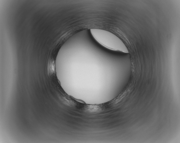 X0000112490095200908171000