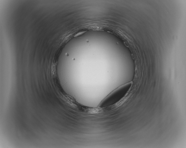 X0000112490096200908171000