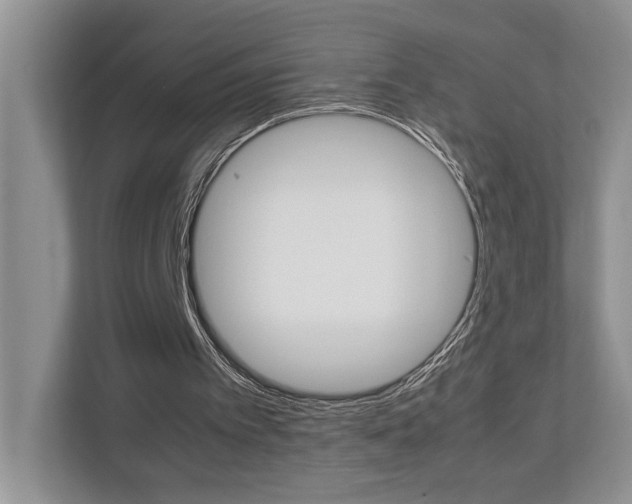 X0000112490097200908170959