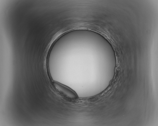 X0000112490099200908170959