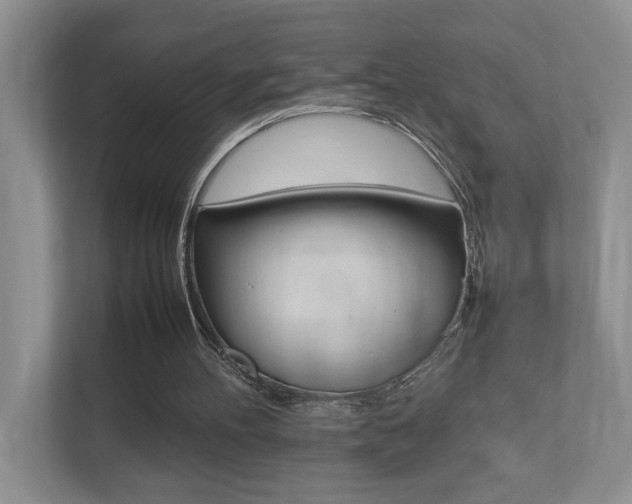X0000112490100200908170959