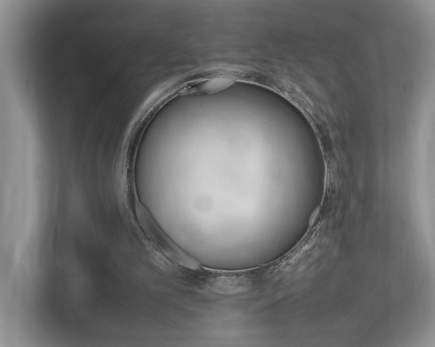 X0000112490101200908170959