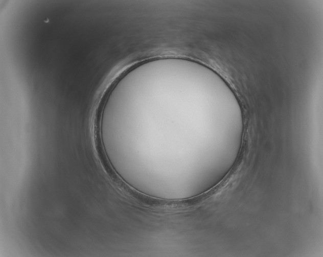 X0000112490103200908170959