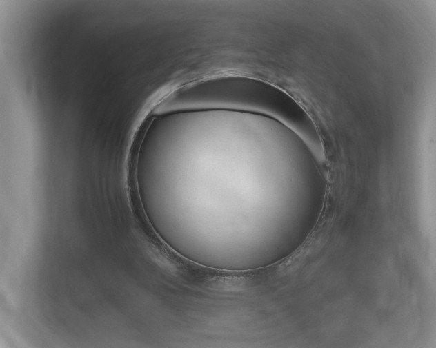 X0000112490104200908170959