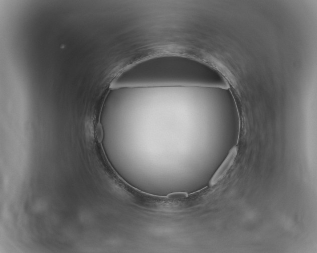 X0000112490105200908170959