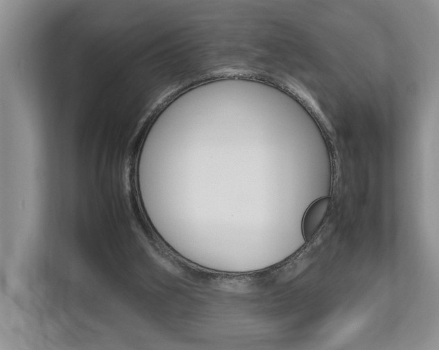 X0000112490106200908170959