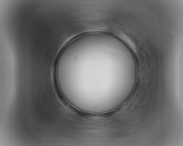 X0000112490107200908170959
