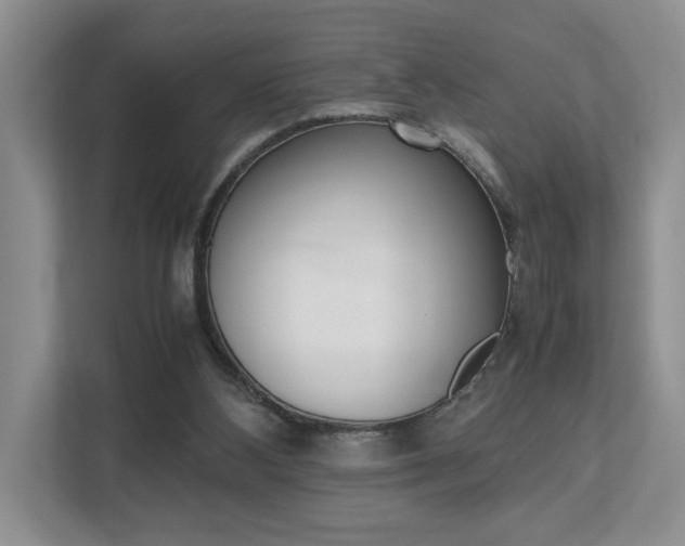 X0000112490108200908170959