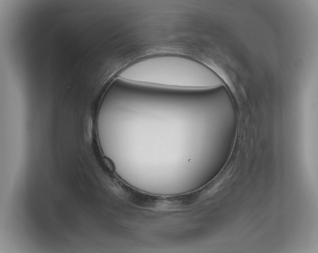 X0000112490109200908170959