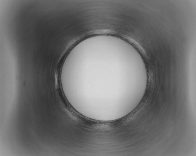 X0000112490110200908170959